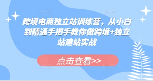 跨境电商独立站训练营，从小白到精通手把手教你做跨境+独立站建站实战-云网创