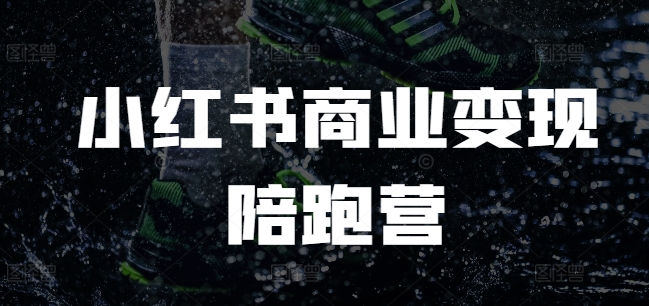 小红书商业变现陪跑营，小红书电商教程-云网创