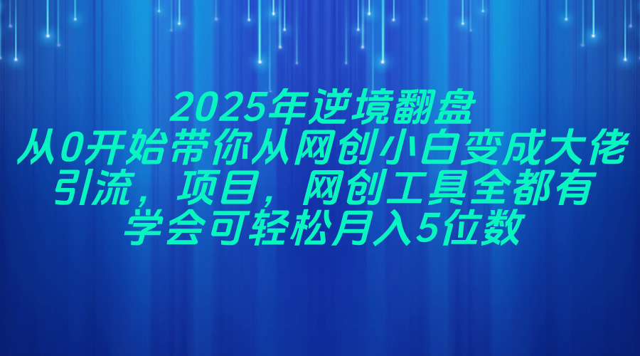 2025年逆境翻盘，从0开始带你从网创小白变成大佬，引流，项目，网创工...-云网创