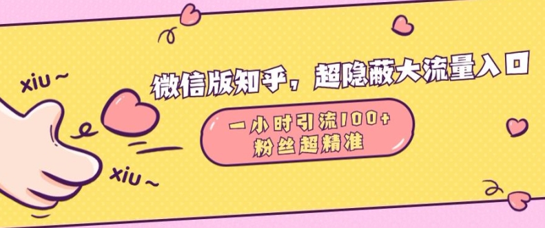 微信版知乎，超隐蔽流量入口1小时引流100人，粉丝质量超高【揭秘】-云网创