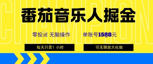 番茄音乐人掘金，单账号最高可撸1k+，可无限矩阵去做，零投入-云网创