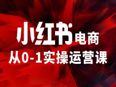 小红书电商从0-1实操运营课，让你从小白到精英-云网创