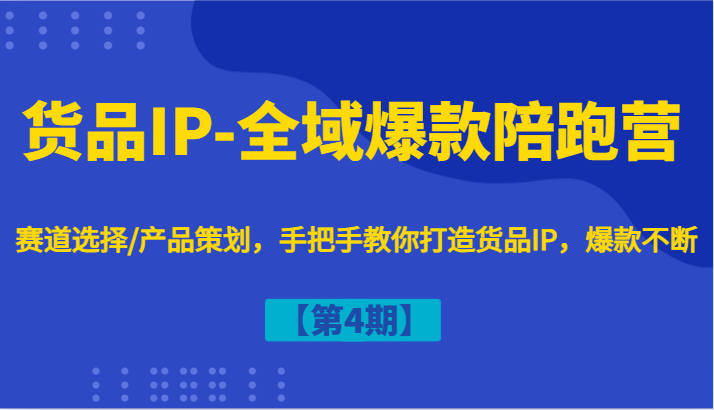 货品IP-全域爆款陪跑营【第4期】赛道选择/产品策划，手把手教你打造货品IP，爆款不断-云网创