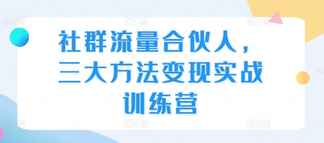 社群流量合伙人，三大方法变现实战训练营-云网创