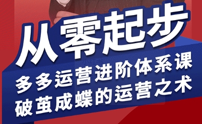 拼多多运营进阶系统课,从零起步,多多运营进阶体系课,破茧成蝶的运营之术(更新9月)