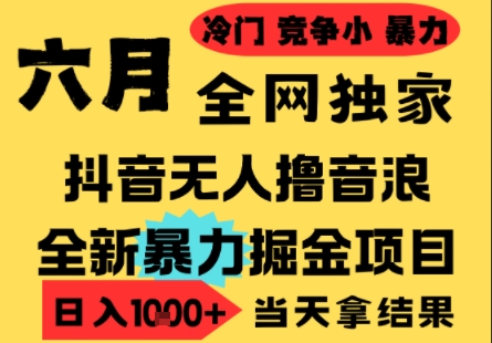 25年6月高爆抖音无人直播最新撸音浪掘金项目，小白可做，无脑日入1k+，门槛低可批量矩阵【揭秘】-云网创