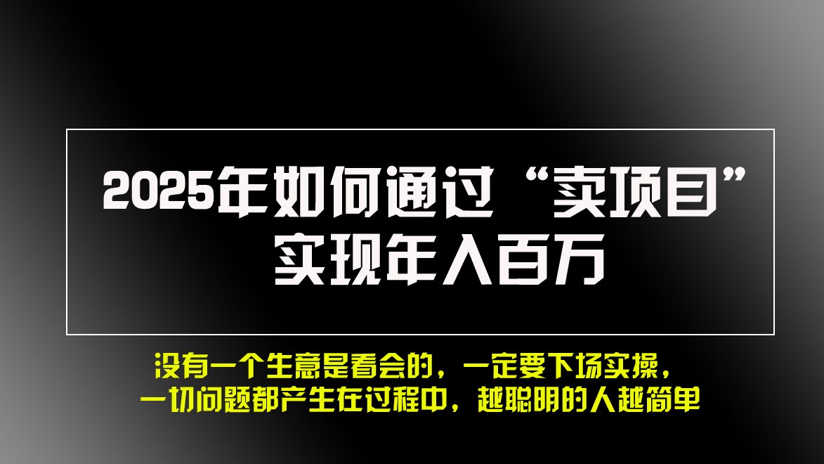 2025年如何通过“卖项目”实现年入百万-云网创