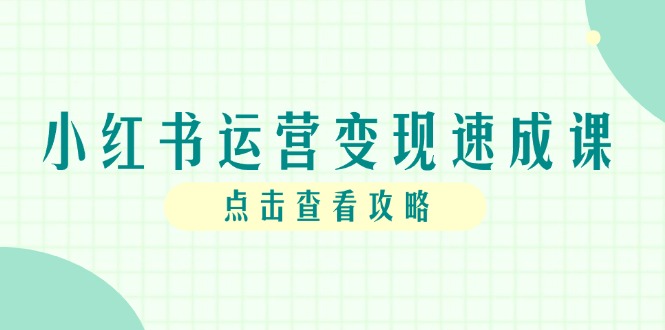 小红书运营变现速成课，账号搭建到暴力起号，个人IP全流程指南-云网创