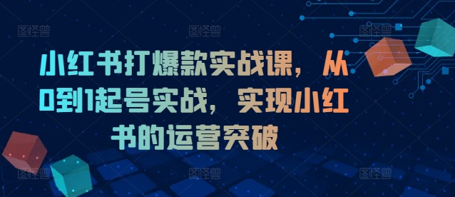小红书打爆款实战课，从0到1起号实战，实现小红书的运营突破-云网创