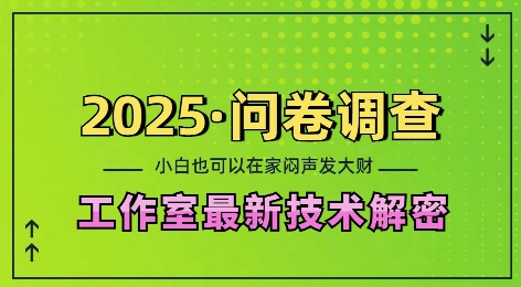 2025问卷调查最新工作室技术解密：一个人在家也可以闷声发大财，小白一天2张，可矩阵放大【揭秘】-云网创