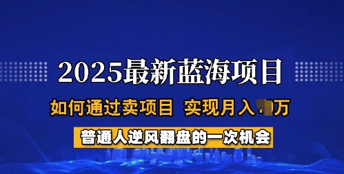 2025蓝海项目，普通人如何通过卖项目，实现月入过W，全过程【揭秘】-云网创