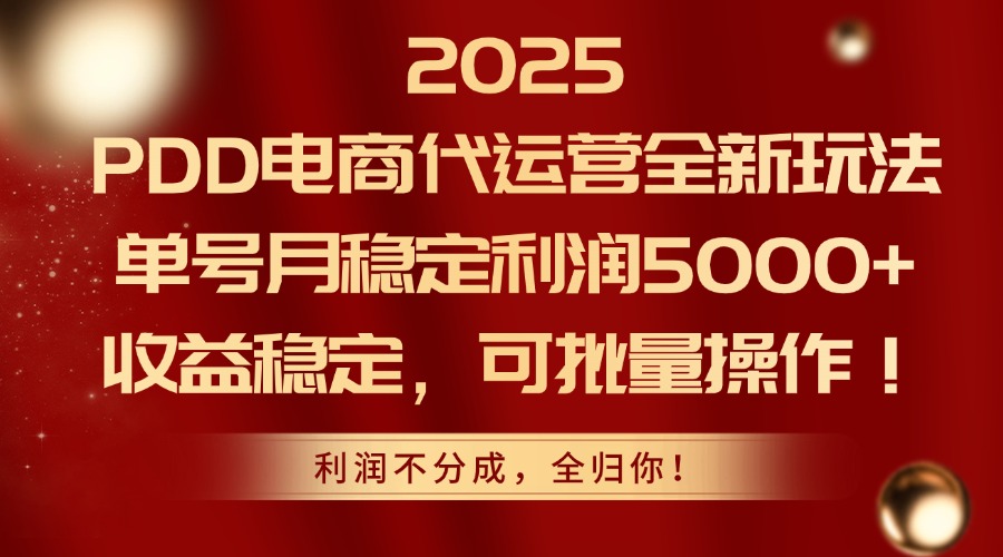 2025PDD电商代运营全新玩法，单号月稳定利润5000+，收益稳定，可批量操作-云网创