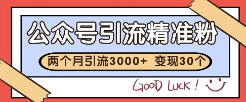 公众号精准粉引流玩法，2个月3000+精准粉，变现30个W【揭秘】-云网创