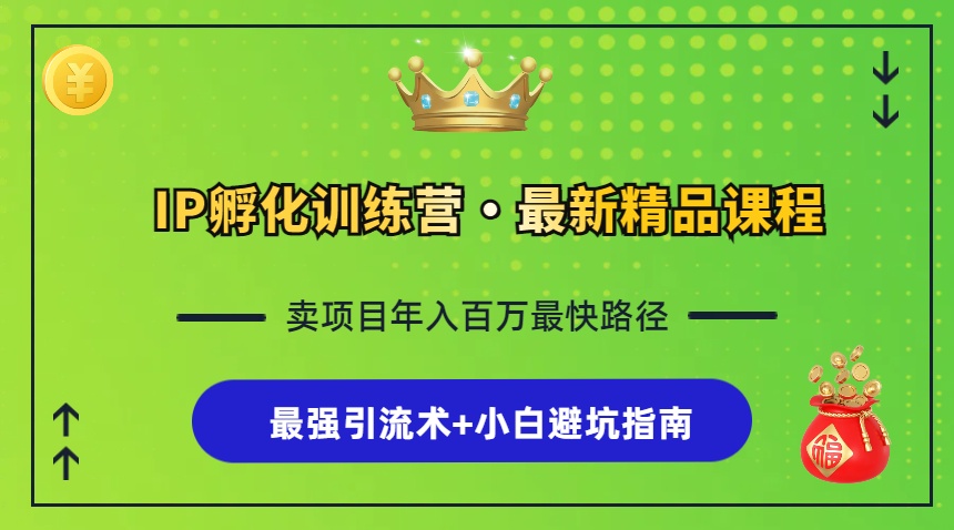 IP孵化训练营，知识付费全流程+最强引流术+小白避坑指南-云网创