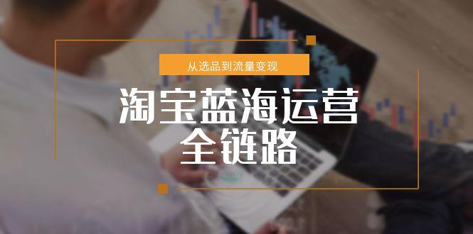 淘宝蓝海运营全链路，从选品到流量变现，小类目突围完整方案-云网创