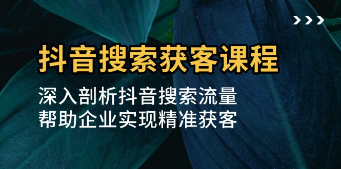 抖音搜索获客课程：深入剖析抖音搜索流量，帮助企业实现精准获客-云网创