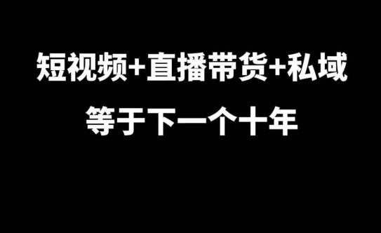 短视频+直播带货+私域等于下一个十年，大佬7年实战经验总结-云网创