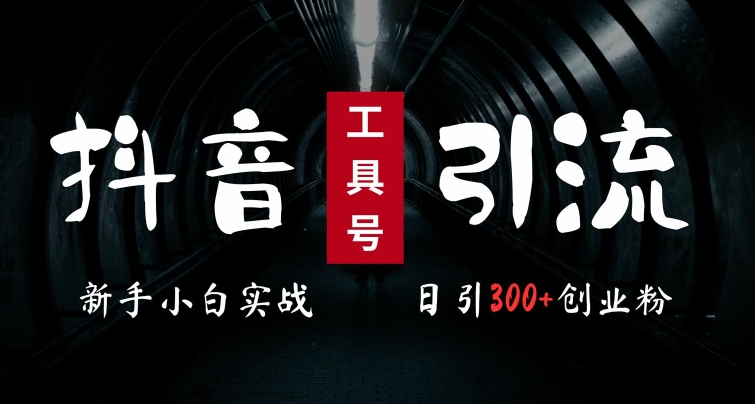 2024最新抖音工具号引流玩法，高效日引300+创业粉，当天变现5k，小白也可成为实战高手-云网创