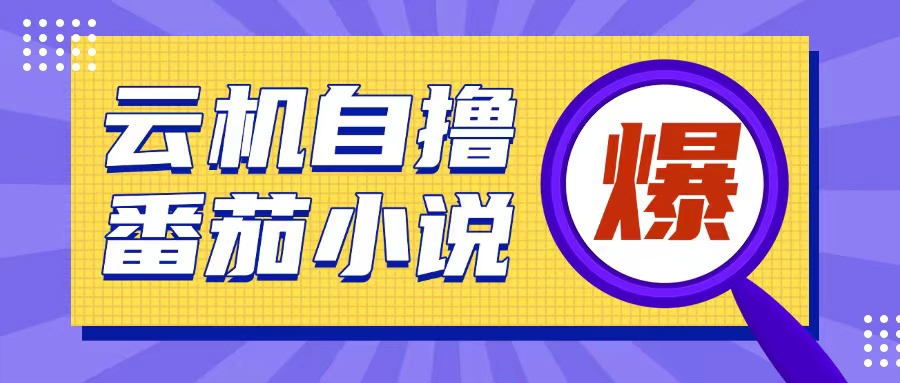 首发云手机自撸小说玩法，10块钱成本可撸200+收益操作简单【揭秘】-云网创