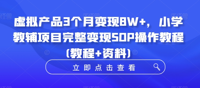 虚拟产品3个月变现8W+，小学教辅项目完整变现SOP操作教程(教程+资料)-云网创