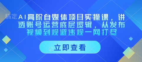 AI高阶自媒体项目实操课，讲透账号运营底层逻辑，从发布视频到规避违规一网打尽-云网创