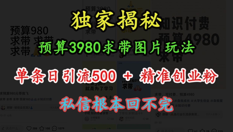 预算3980求带 图片玩法，单条日引流500+精准创业粉，私信根本回不完-云网创