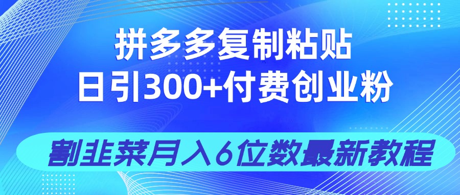 拼多多复制粘贴日引300+付费创业粉，割韭菜月入6位数最新教程！-云网创