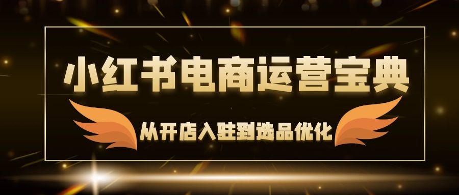 小红书电商运营宝典：从开店入驻到选品优化，一站式解决你的电商难题-云网创