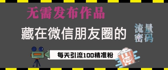 藏在微信朋友圈的流量密码，无需发布作品，单日引流100+精准创业粉【揭秘】-云网创