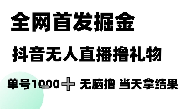 全网首发掘金抖音无人直播撸礼物，单号1k +无脑撸，当天拿结果【揭秘】-云网创