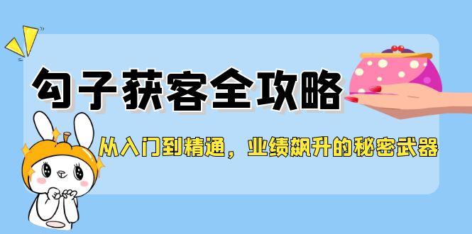 从入门到精通，勾子获客全攻略，业绩飙升的秘密武器-云网创