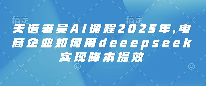 天诺老吴AI课程2025年，电商企业如何用deeepseek实现降本提效-云网创