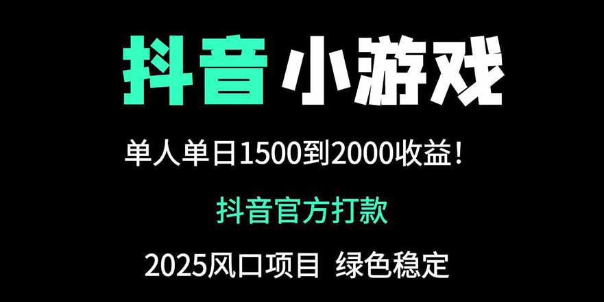 抖音官方小游戏2025全网最新玩法，暴利赚钱项目，单机日入2000+-云网创
