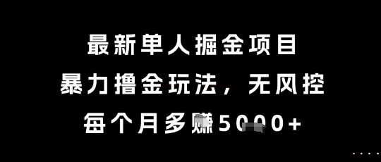 最新单人掘金项目，暴力撸金玩法，无风控，每个月多挣5k+【揭秘】-云网创