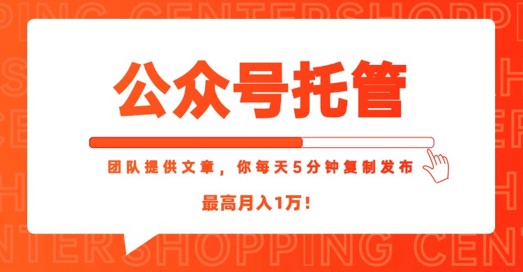 【公众号托管 】我提供文章，你每天５分钟复制发布，最高月入1W-云网创