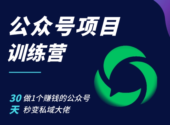 公众号项目训练营，30天做1个赚钱的公众号，秒变私域大佬-云网创