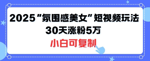 不露脸也能火！2025“氛围感美女”短视频玩法，30天涨粉5W小白可复制-云网创