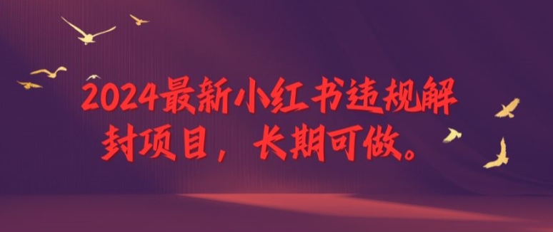 2024最新小红书违规解封项目，长期可做，一个可以做到退休的项目【揭秘】-云网创
