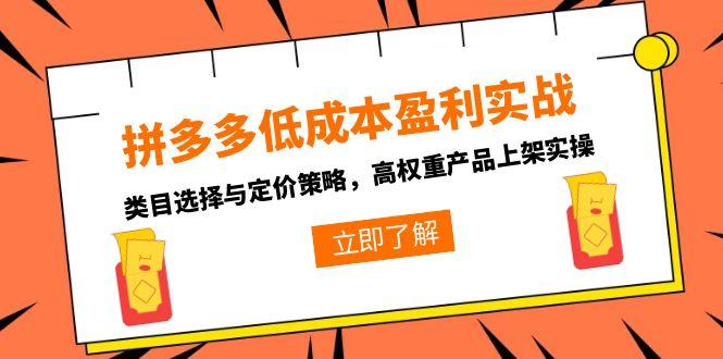 拼多多低成本盈利实战，类目选择与定价策略，高权重产品上架实操-云网创