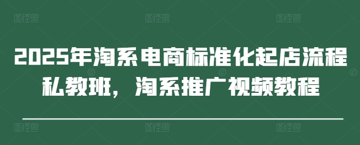 2025年淘系电商标准化起店流程私教班,淘系推广视频教程
