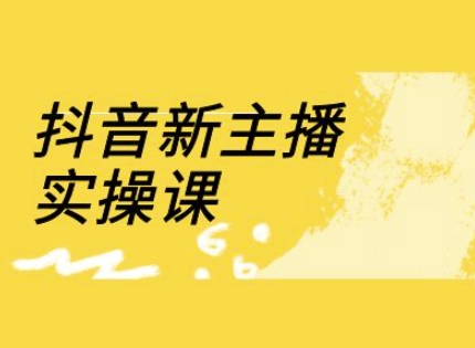 抖音新主播实操课，直播间流量运营线上实操课(18节)-云网创