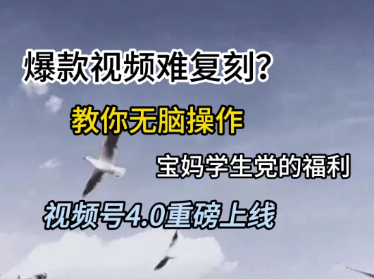 视频号4.0重磅上线，爆款视频难复刻？教你无脑操作宝妈学生党的福利【揭秘】-云网创