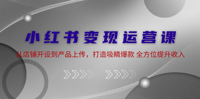 小红书变现运营课：从店铺开设到产品上传，打造吸睛爆款 全方位提升收入-云网创