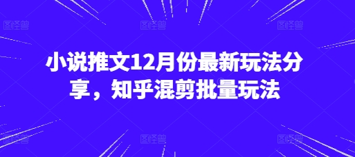 小说推文12月份最新玩法分享，知乎混剪批量玩法-云网创
