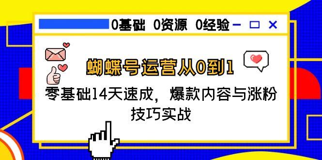 蝴蝶号运营从0到1，零基础14天速成，爆款内容与涨粉技巧实战-云网创
