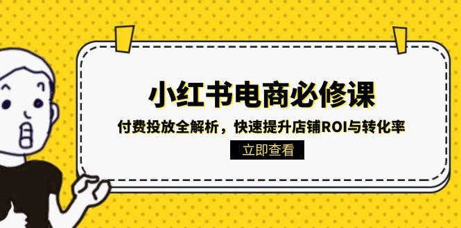 小红书电商必修课：付费投放全解析，快速提升店铺ROI与转化率-云网创