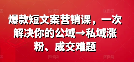 爆款短文案营销课，一次解决你的公域→私域涨粉、成交难题-云网创