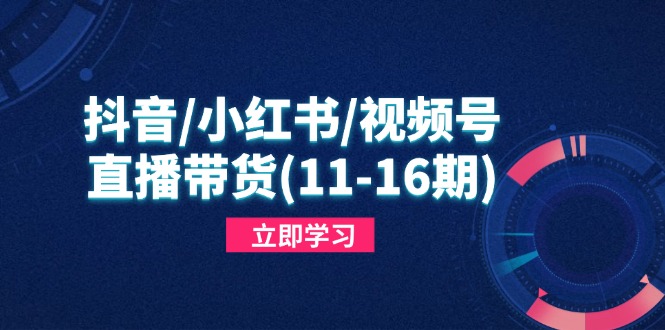 抖音/小红书/视频号/直播带货(11-16期-云网创