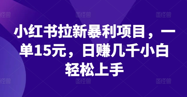 小红书拉新暴利项目，一单15元，日赚几千小白轻松上手【揭秘】-云网创