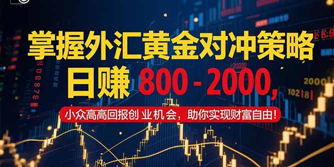 掌握外汇黄金对冲策略，日赚 800 – 2000，小众高回报创业机会，助你实…-云网创